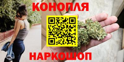 крисы Пенза